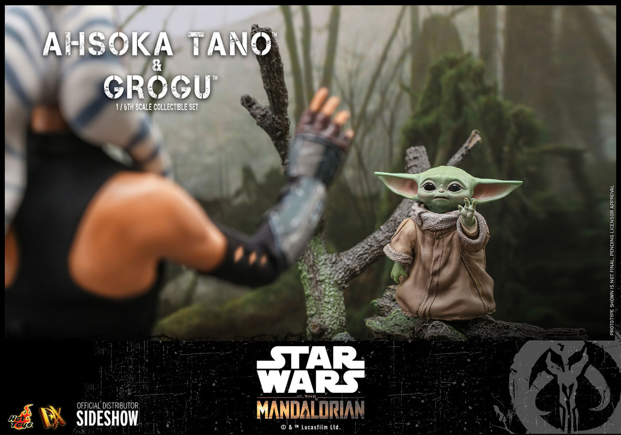Star Wars The Mandalorian AHSOKA TANO AND GROGU Sixth Scale 1:6 Figure Set  by Hot Toys DX21 - O'Smiley's Dolls & Collectibles, LLC