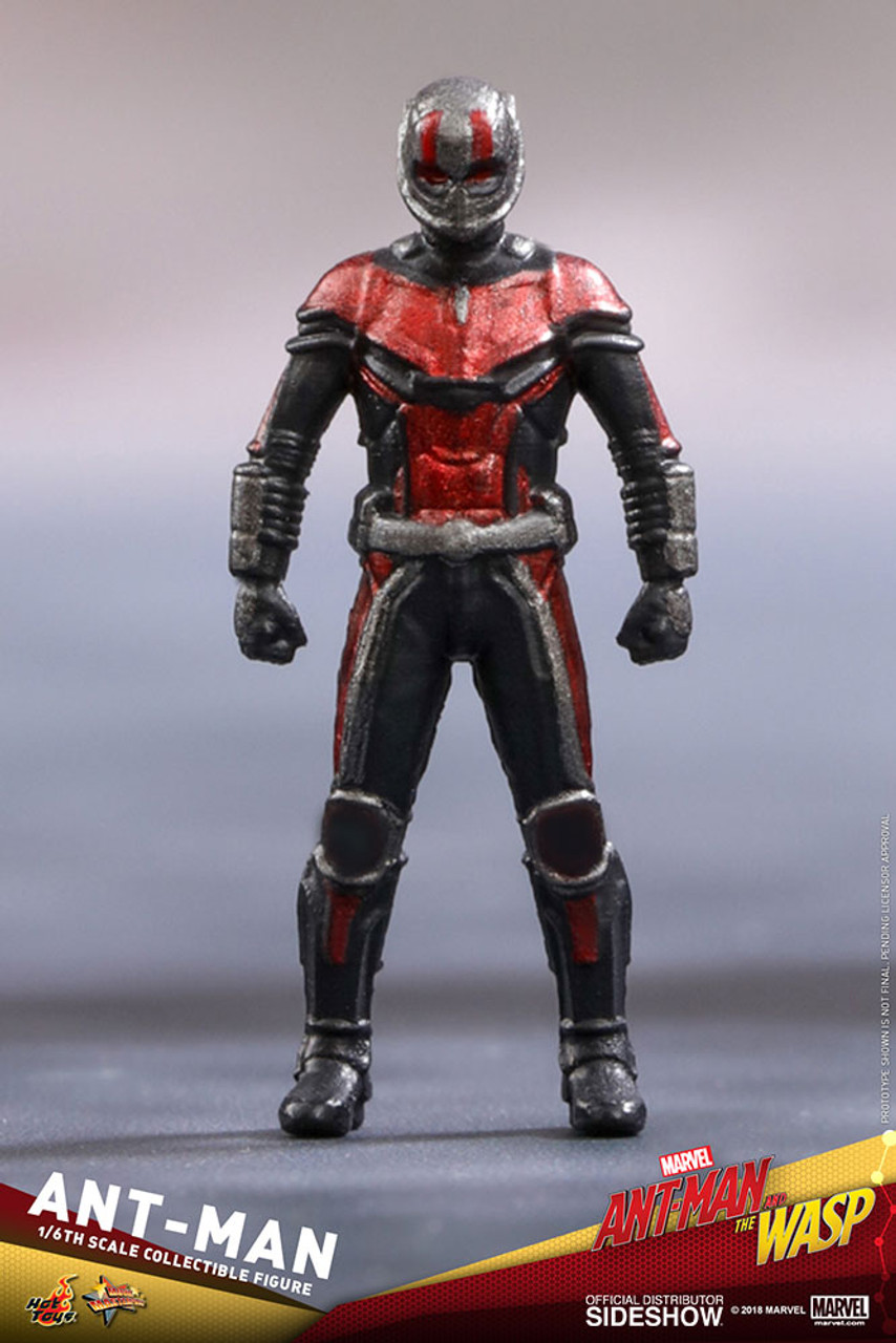 Hot Toys Ant-Man Figure Photos & Up for Order! - Marvel Toy News