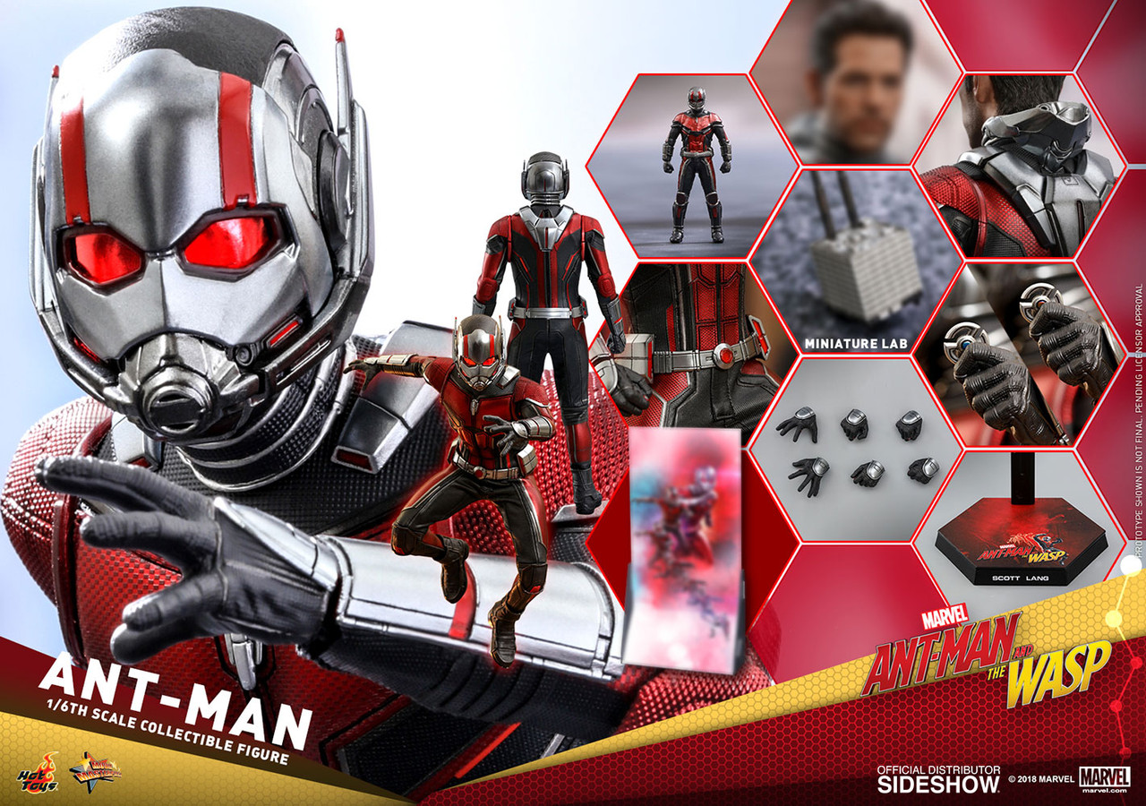 Hot Toys ANT-MAN Sixth Scale Collectible Ant-Man & the Wasp Figure