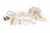 Mother of Pearl Janay® Dressed Doll Integrity Toys 30th Anniversary Celebration 91580