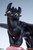 How To Train Your Dragon TOOTHLESS STATUE by Sideshow Collectibles LIMITED 5000