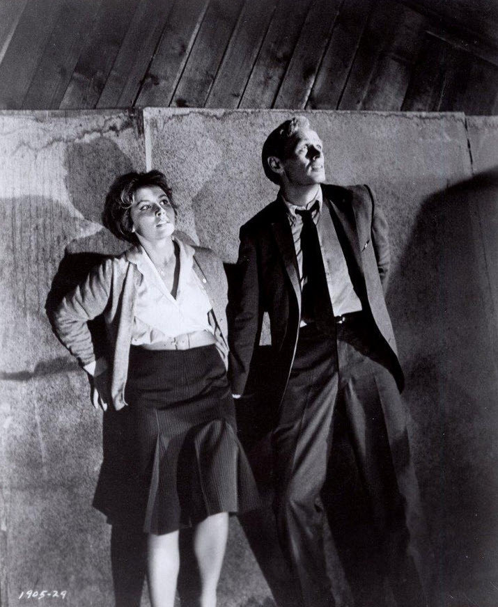 The Secret Ways (1961) DVD - Zeus