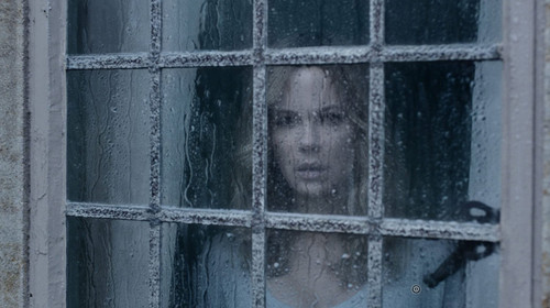 The Disappointments Room (2016) DVD