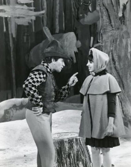 The Dangerous Christmas Of Red Riding Hood (1965) DVD