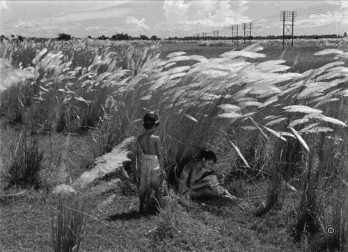 Pather Panchali (1955) DVD