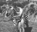 Bantu The Zebra Boy (1956) DVD