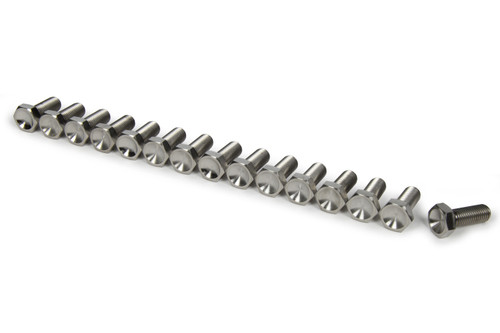 Wheel Center Bolt Kit - 5/16-24 in Thread - 1 in Long - Hex Head - Titanium - Natural - Set of 15