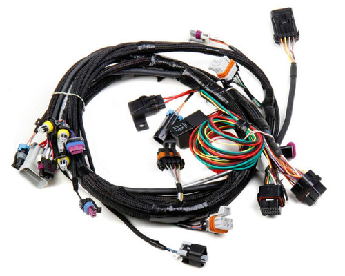 EFI Wiring Harness - Main Harness - Holley HP / Dominator EFI - 24x Reluctor Wheel - LS1 / LS6 - GM LS-Series - Each