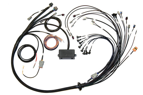 Engine Wiring Harness - Elite - Main Harness - Terminated - GM V8 / Ford V8 / Mopar Early Hemi - Kit