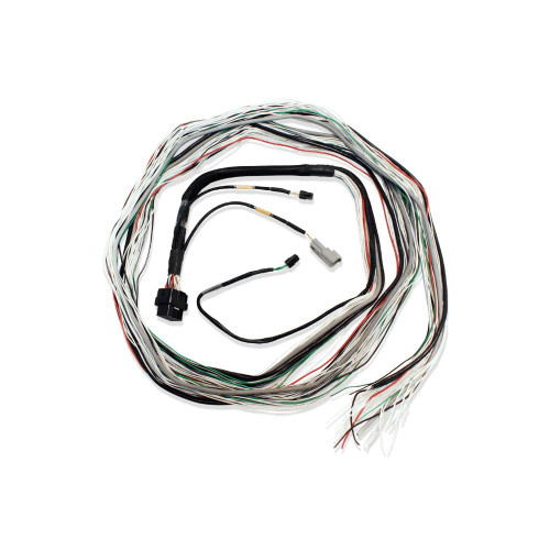 Engine Control Harness - Blank Harness - 10 ft - FT600 ECU - Each