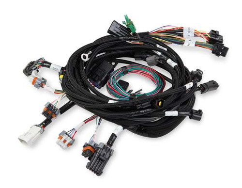 EFI Wiring Harness - Terminated Main Harness - Ford Modular 1999-2004 - Kit