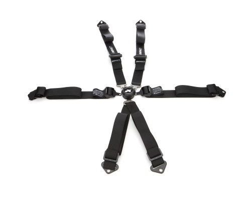 Harness - Pro Series - 6 Point - Camlock - SFI 16.5 - Pull Down Adjust - Bolt-In / Wrap Around - Black - Kit