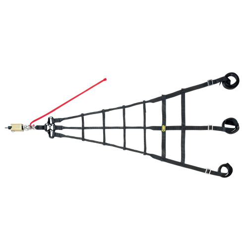 Window Net - FIA Approved - 0.25 in / 1 in Webbing - Triangle - Quick Release Buckle - Black - Each