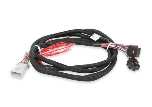 EFI Wiring Harness - J2B Plug to Dominator ECU Module - Universal - Each