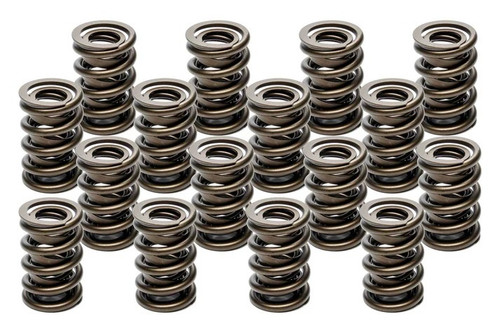 Valve Spring - Hot Rod Series - Dual Spring / Damper - 469 lb/in Spring Rate - 1.120 in Coil Bind - 1.555 in OD - Set of 16
