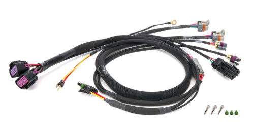 Wiring Harness MSD GM LS CT525Engine