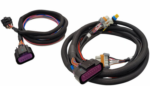 Ls Control Kit Harness - LS Ignition Control Box - SalterRacing.com