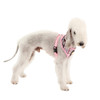 Puppia/Pinkaholic Puppia Junior Harness 