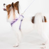 Puppia Vivien Harness