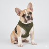 Puppia Soft Mesh Dog Harness - BUY 3 FOR $15.95 EACH