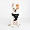 Puppia/Pinkaholic  Puppia Terry Harness 