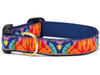 Up Country Feelin' Groovy Dog Collar 