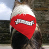 Personalized Gifts Personalized Banner Pet Bandanna 