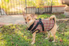  NYD Step In Jacket Harness 