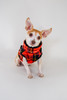 NYD Step In Jacket Harness 