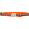  Orange Snake Eyes Cat Collar 