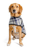 Chilly Dog Grey & Blue Plaid Wool Blanket Dog Coat 