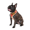 Puppia/Pinkaholic Puppia Norman Harness A