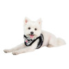 Puppia/Pinkaholic Pinkaholic Chyanne Vest Harness