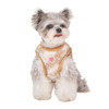 Puppia/Pinkaholic Pinkaholic Chyanne Vest Harness