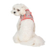 Puppia/Pinkaholic Pinkaholic Freesia Pinka Harness