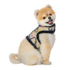 Puppia/Pinkaholic Pinkaholic Freesia Pinka Harness