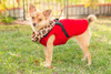 NYD Leopard Collar / Red Faux Suede Step In Jacket Harness