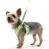 Dogo  EasyGo Yellow Pineapple Harness 