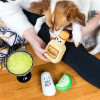 Pearhead Tequila Shots Dog Toy Set 