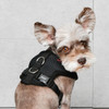 Puppia/Pinkaholic Puppia Soft  Harness E-FINAL SALE 