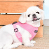 Puppia/Pinkaholic Puppia Soft  Harness E-FINAL SALE 