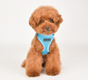 Puppia/Pinkaholic Puppia Soft Superior Harness-FINAL SALE 