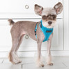 Puppia/Pinkaholic Puppia Soft Superior Harness-FINAL SALE 