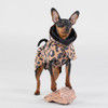  Visibility Raincoat Lite Leo for Dogs 