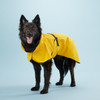  Copy of Visibility Raincoat Lite Yellow for Dogs 