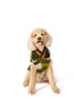 Chilly Dog Camo Wool Sweater 