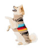 Chilly Dog Painted Desert Southwest Wool Sweater 