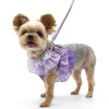 Dogo EasyGo Multi Ruffle Purple Harness 