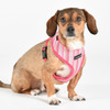 Puppia/Pinkaholic Puppia Theros Harness A - ALL COTTON 