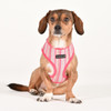 Puppia/Pinkaholic Puppia Theros Harness A - ALL COTTON 